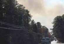 纽约和新泽西空气质量警告:公园工作人员在扑灭火灾中遇难 news-11112024-032158