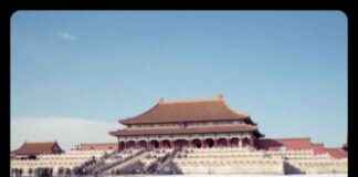 中国绿色转型令世界着迷 news-29112024-235715