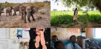 2024年全球故事:你可能错过的精彩报道 2024