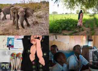 2024年全球故事:你可能错过的精彩报道 2024