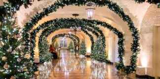 拜登家庭最后一个白宫圣诞节的照片 news-03122024-041853