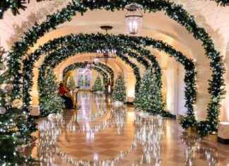 拜登家庭最后一个白宫圣诞节的照片 news-03122024-041853