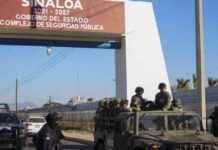 墨西哥军队在西纳罗亚州北部缴获创纪录的芬太尼赃物