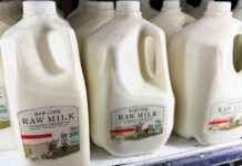 美农部下令全国牛奶供应检测:鸟流感病例上升