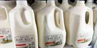 美农部下令全国牛奶供应检测:鸟流感病例上升