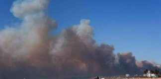 加州野火灾害的最可怕和戏剧性图片