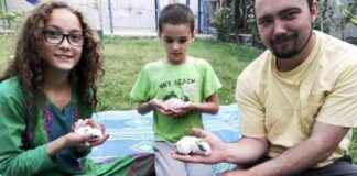 塔利班宣布释放在阿富汗被扣押的两名美国人