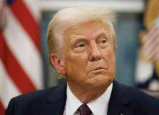 特朗普政府暂停联邦多样性、平等和包容性员工