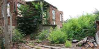 农民们放弃土地,有益于自然吗?