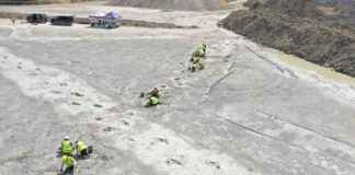 在英格蘭南部發現了恐龍蹤跡。