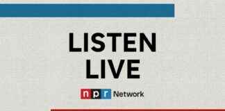 特别报道:NPR现场直播特朗普百日纪念日 npr