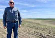 西北农民面临的挑战:低价和特朗普的贸易战。