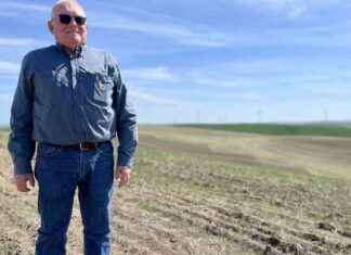 西北农民面临的挑战:低价和特朗普的贸易战。