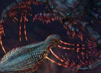 古代装甲鱼导致冰冷食物引起牙齿刺痛