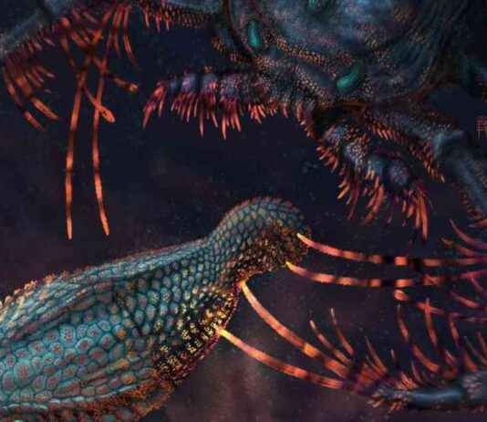 古代装甲鱼导致冰冷食物引起牙齿刺痛