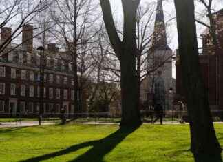 川普再次抨击哈佛大学关于国际学生的决定,法官阻止撤销行动