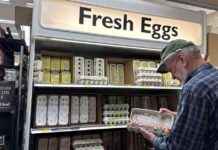 四月通胀降温,但关税可能在未来几个月扰乱局势