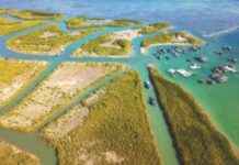 新指导方针加强绿色检查