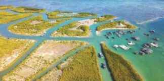 新指导方针加强绿色检查