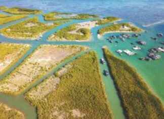 新指导方针加强绿色检查